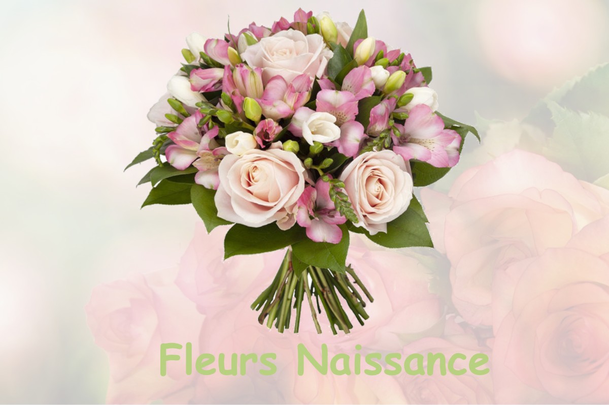 fleurs naissance VOSBLES