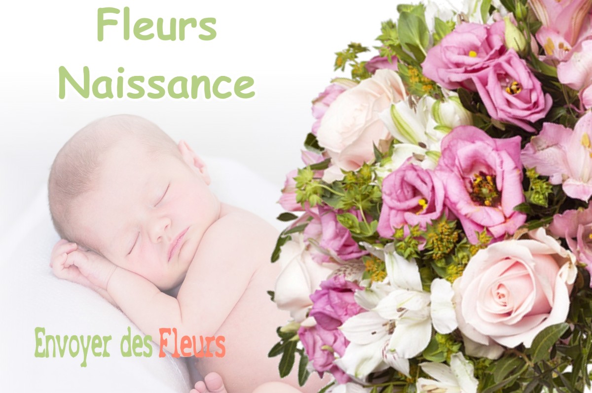 lIVRAISON FLEURS NAISSANCE à VOSBLES